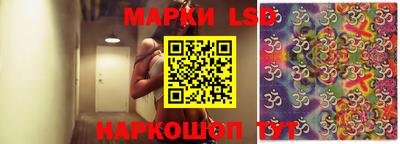 крисы Дубна