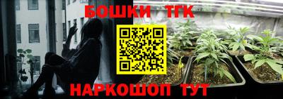 крисы Дубна
