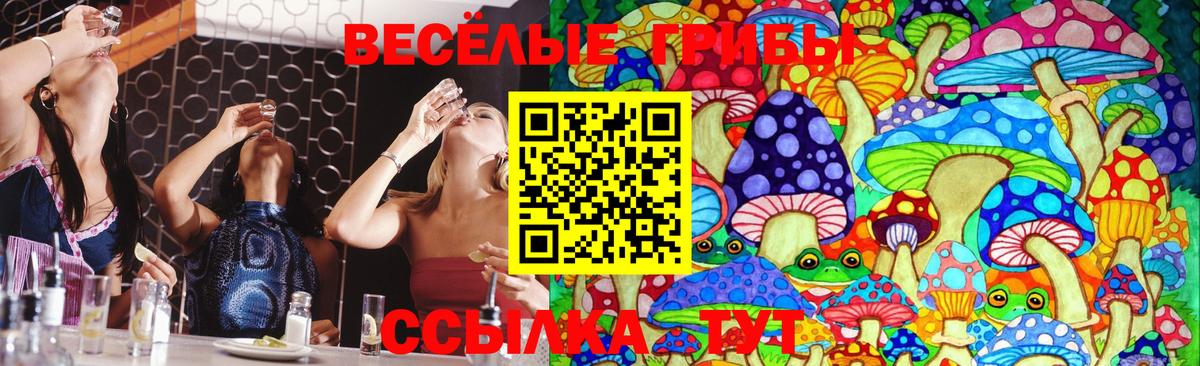 Галлюциногенные грибы ЛСД  Вход с VPN  Нарткала 