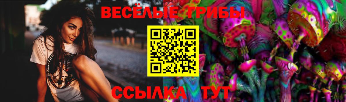Псилоцибиновые грибы Cubensis Нарткала